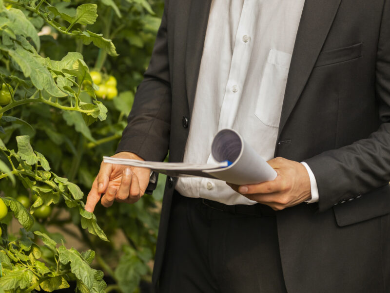 businessman holding notebook standing greenhouse