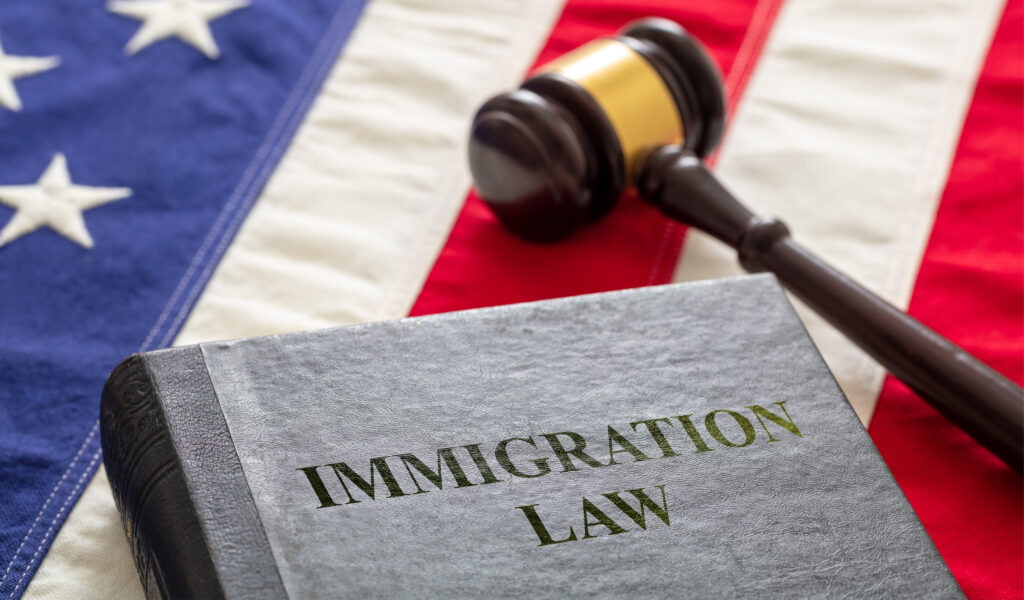 New York Immigration Laws: A Comprehensive Overview